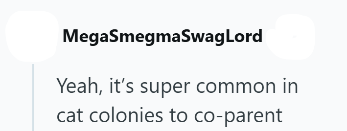 MegaSmegmaSwagLord Yeah, it's super common in cat colonies to co-parent