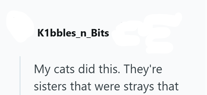 K1bbles_n_Bits My cats did this. They're sisters that were strays that