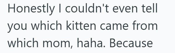Honestly I couldn't even tell you which kitten came from which mom, haha. Because