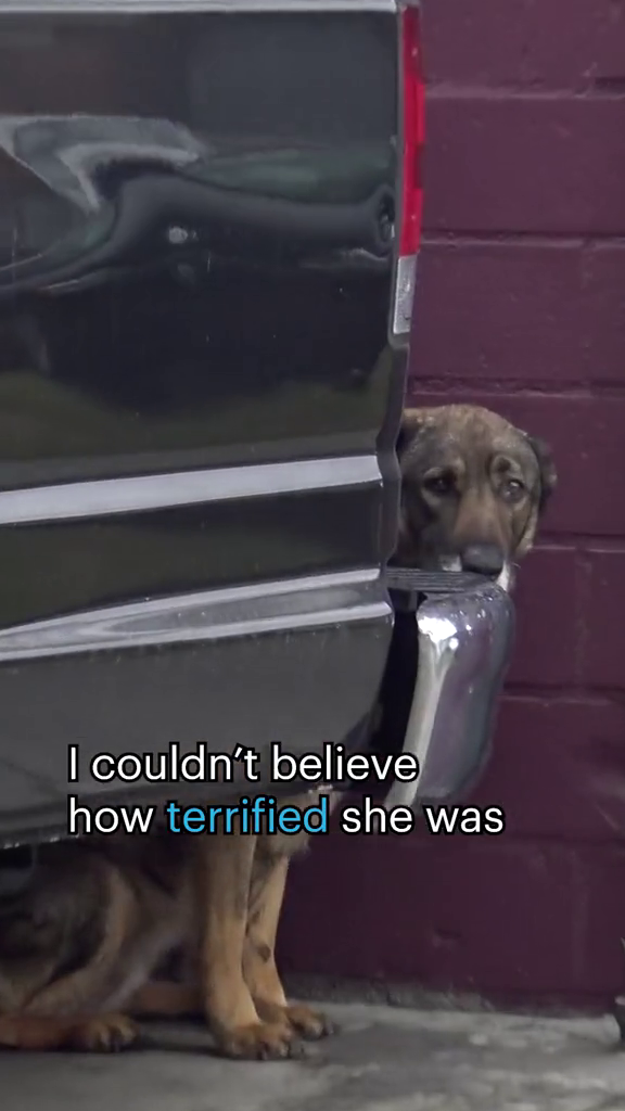 I couldn't believe how terrified she was