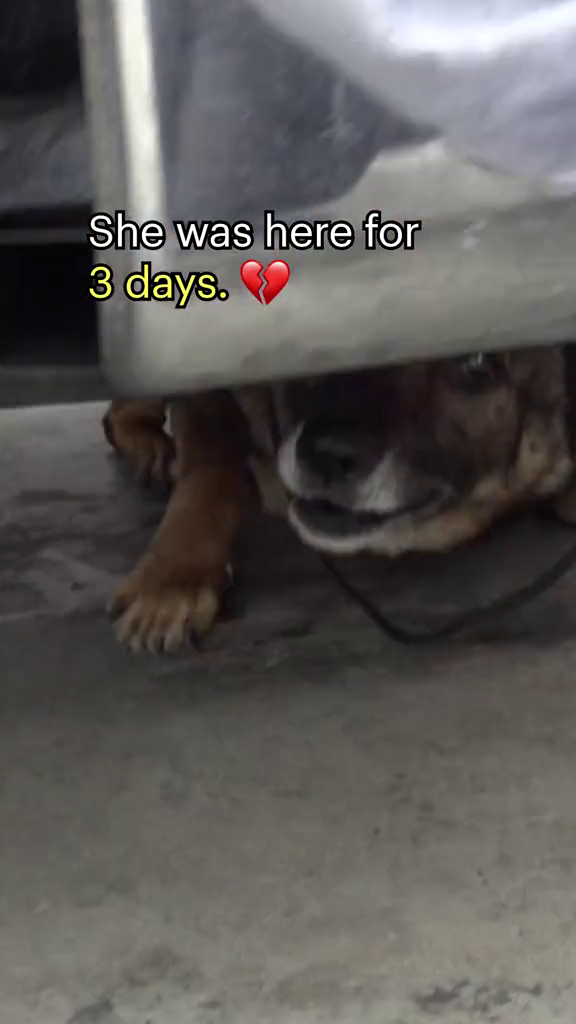 She was here for 3 days.