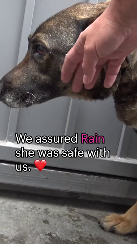 We assured Rain she was safe with us.