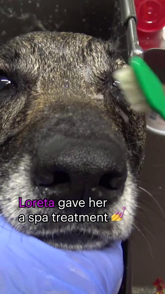 Loreta gave her a spa treatment