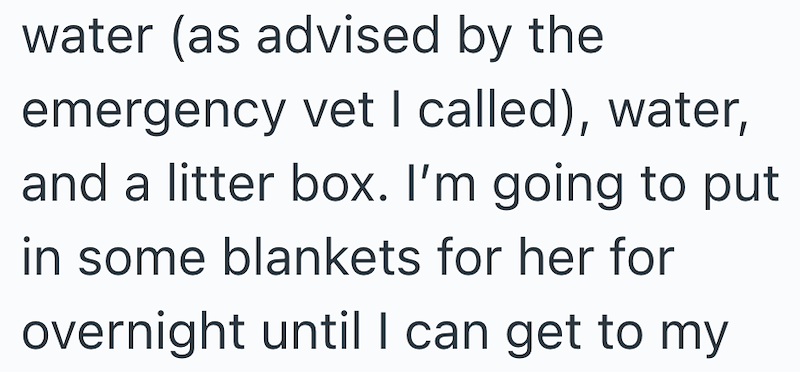 water (as advised by the emergency vet I called), water, and a litter box. I'm going to put in some blankets for her for overnight until I can get to my