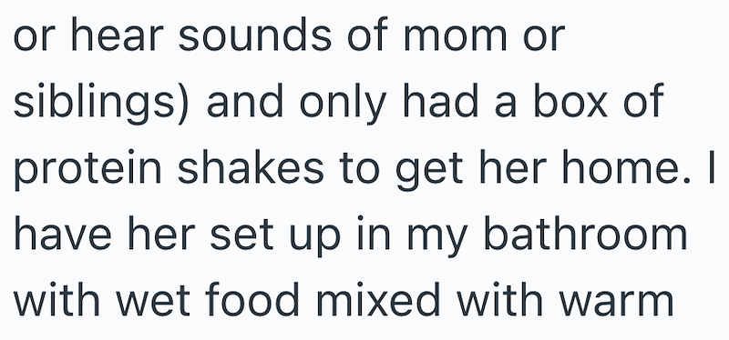 or hear sounds of mom or siblings) and only had a box of protein shakes to get her home. I have her set up in my bathroom with wet food mixed with warm