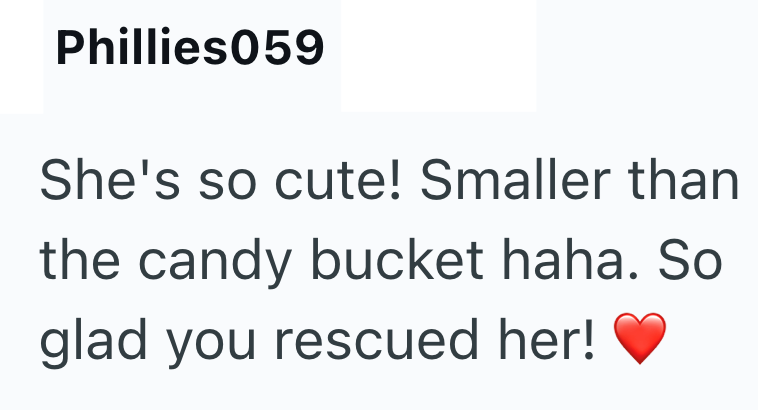 Phillies059 She's so cute! Smaller than the candy bucket haha. So glad you rescued her!