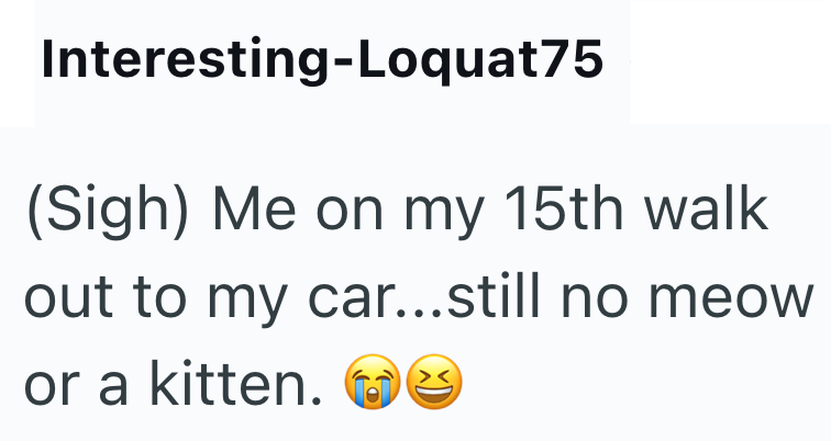 Interesting-Loquat75 (Sigh) Me on my 15th walk out to my car...still no meow or a kitten.