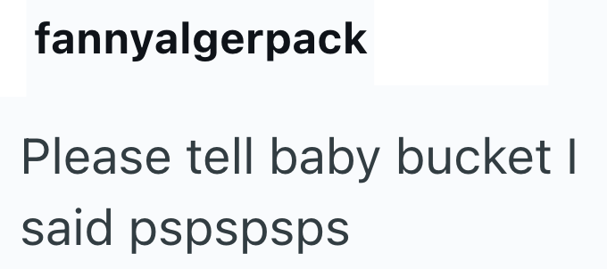 fannyalgerpack Please tell baby bucket I said pspspsps