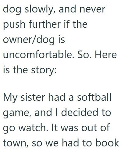 dog slowly, and never push further if the owner/dog is uncomfortable. So. Here is the story: My sister had a softball game, and I decided to go watch. It was out of town, so we had to book
