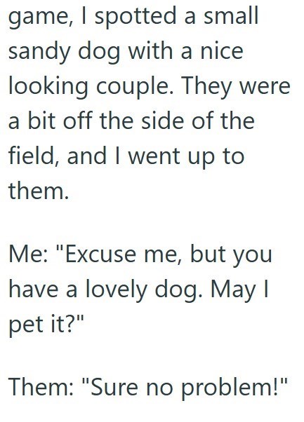 game, I spotted a small sandy dog with a nice looking couple. They were a bit off the side of the field, and I went up to them. Me: "Excuse me, but you have a lovely dog. May I pet it?" Them: "Sure no problem!"