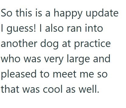 So this is a happy update I guess! I also ran into another dog at practice who was very large and pleased to meet me so that was cool as well.