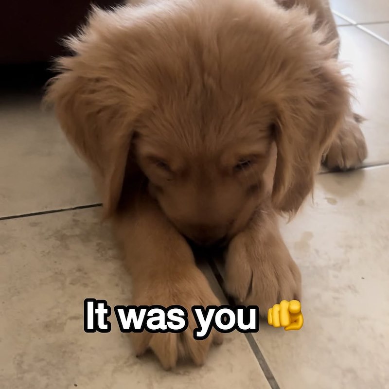 It was you