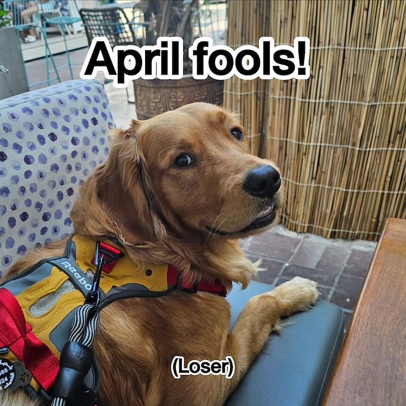 385 9243 April fools! Reebo (Loser)
