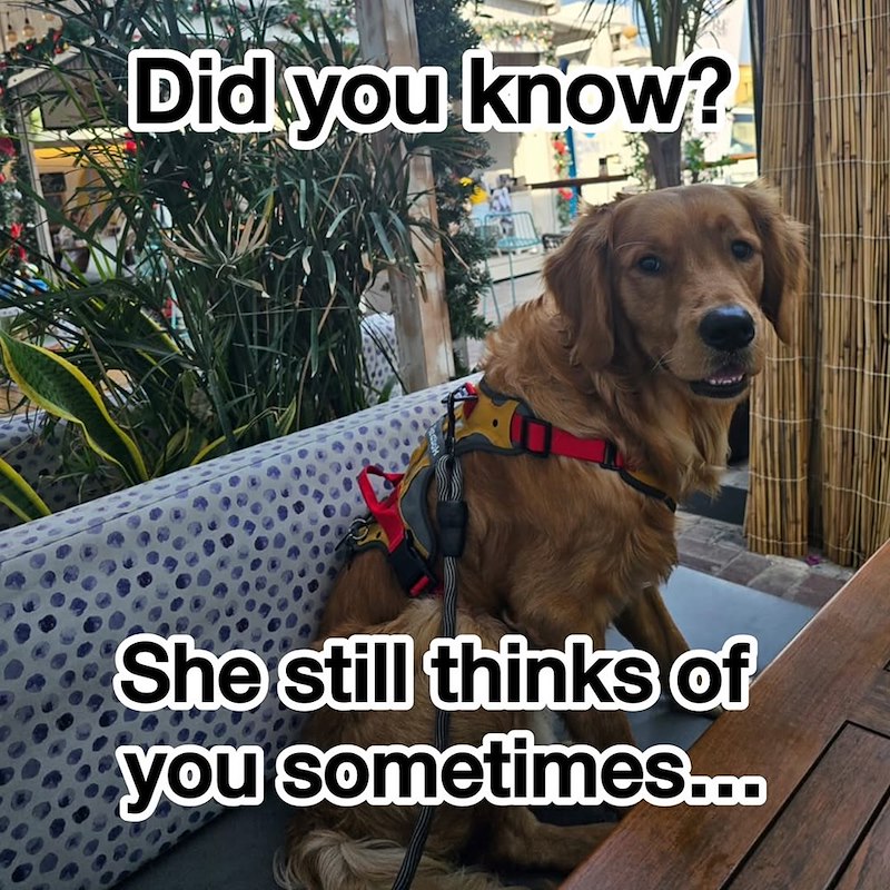Did you know? She still thinks of you sometimes...