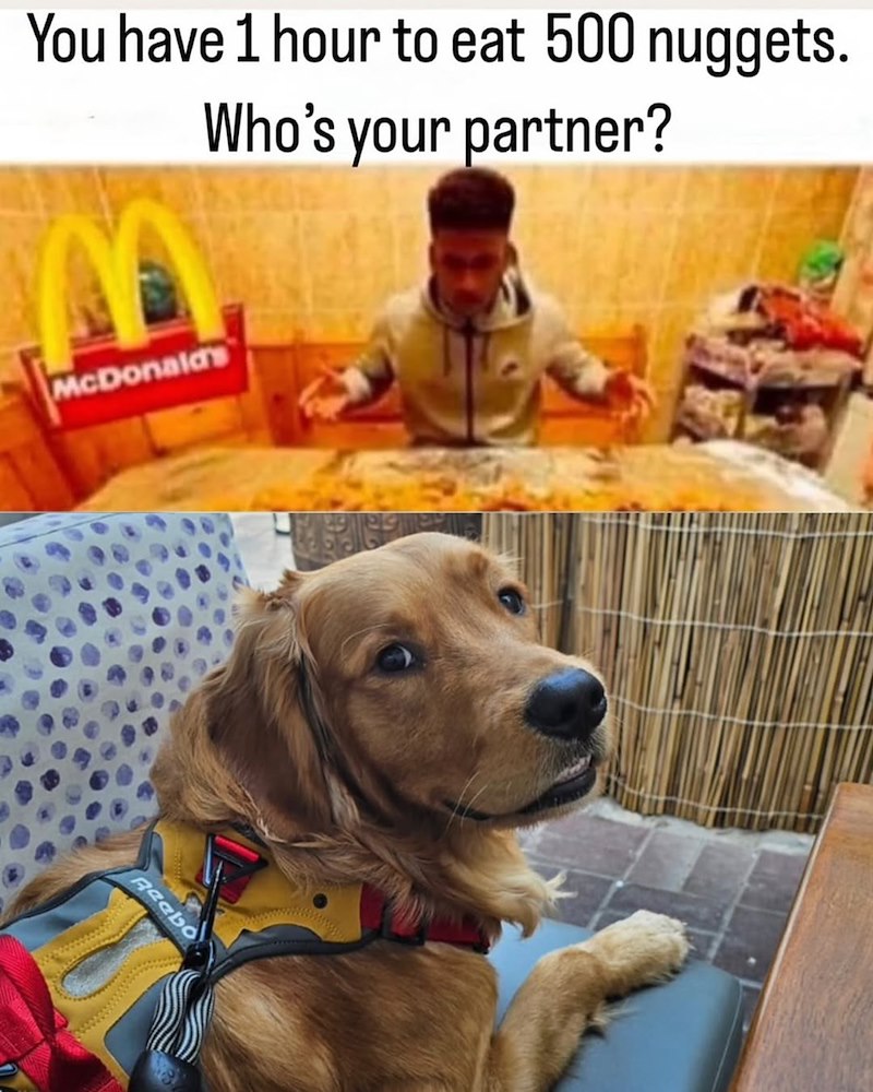 You have 1 hour to eat 500 nuggets. Who's your partner? McDonald's Reebo