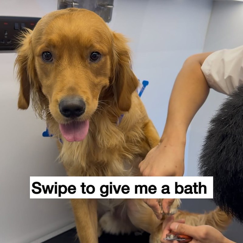 Swipe to give me a bath