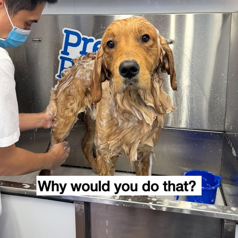 Pr Why would you do that?
