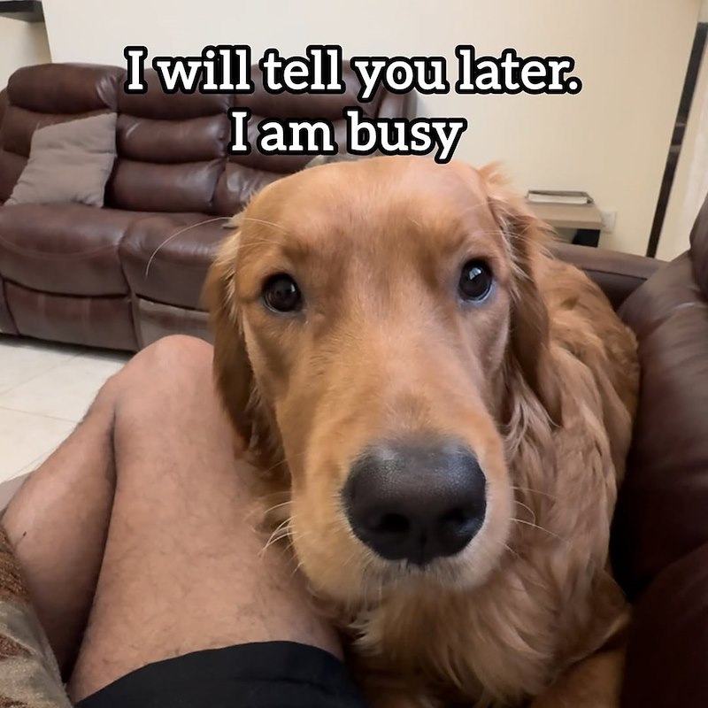 I will tell you later. I am busy