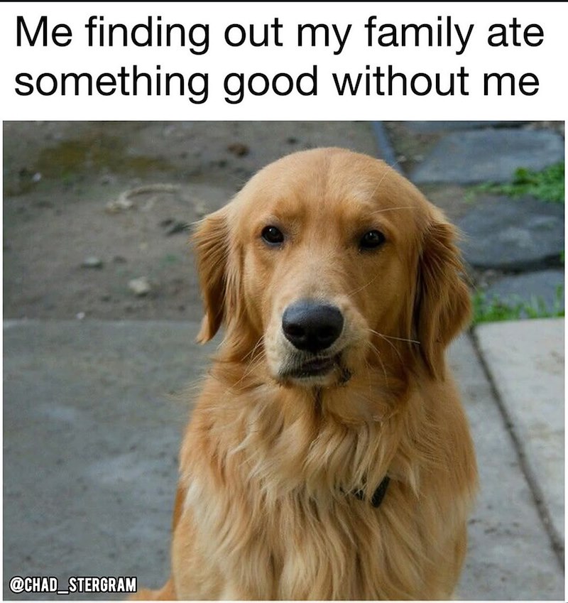 Me finding out my family ate something good without me @CHAD_STERGRAM