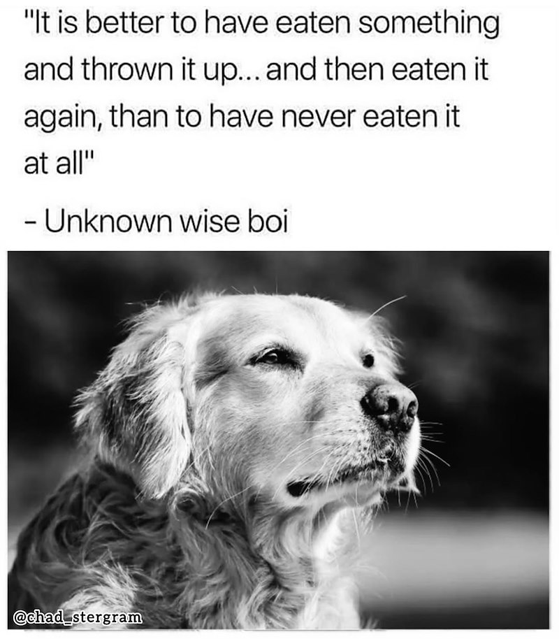 "It is better to have eaten something and thrown it up... and then eaten it again, than to have never eaten it at all" - Unknown wise boi @chad_stergram