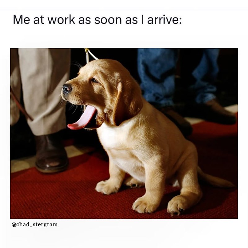 Me at work as soon as I arrive: @chad_stergram
