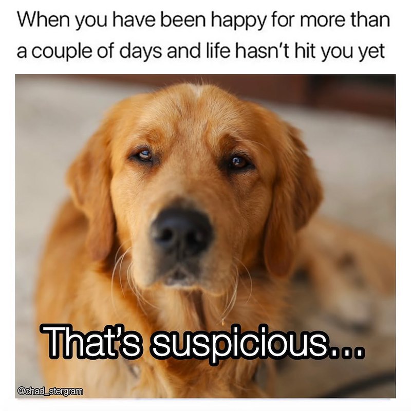 When you have been happy for more than a couple of days and life hasn't hit you yet That's suspicious... @chad_stergram