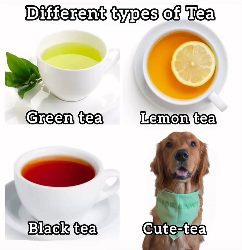 Different types of Tea O Green tea Lemon tea Black tea HACK ADDIT Cute-tea