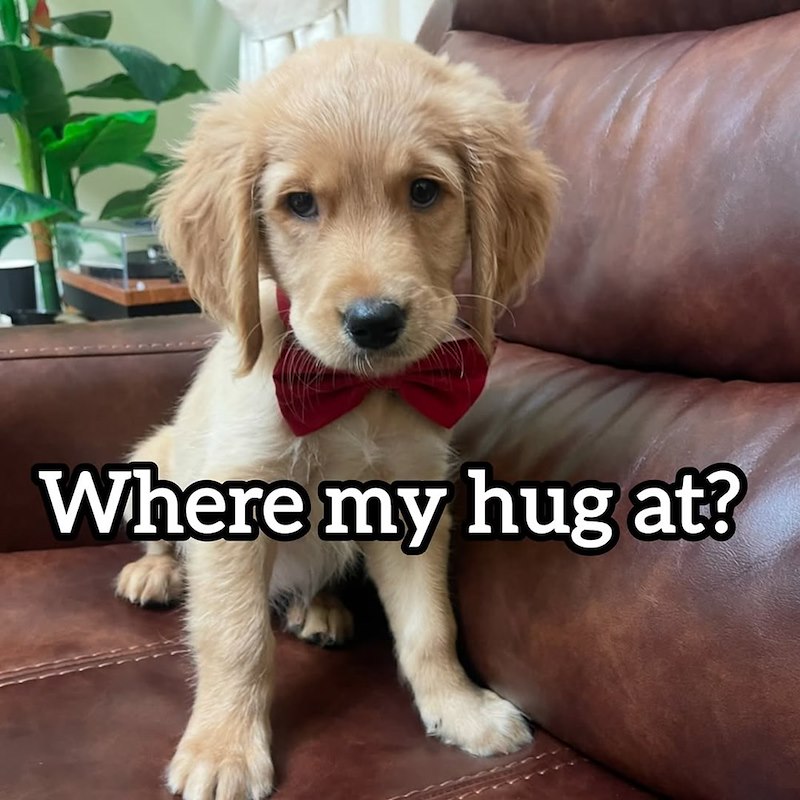 Where my hug at?