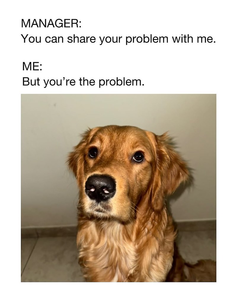 MANAGER: You can share your problem with me. ME: But you're the problem.