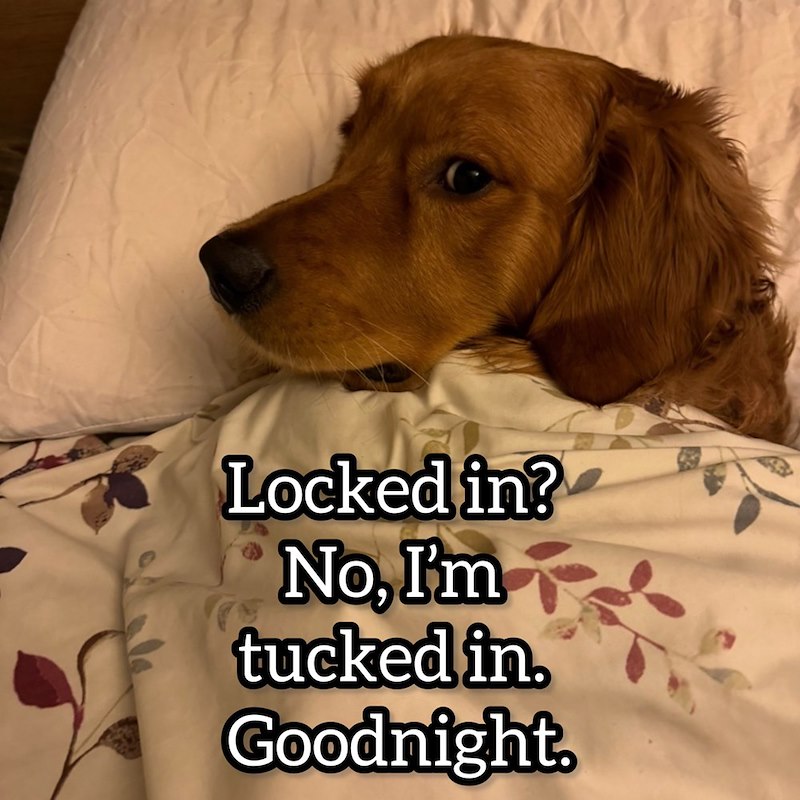 Locked in? No, I'm tucked in. Goodnight.