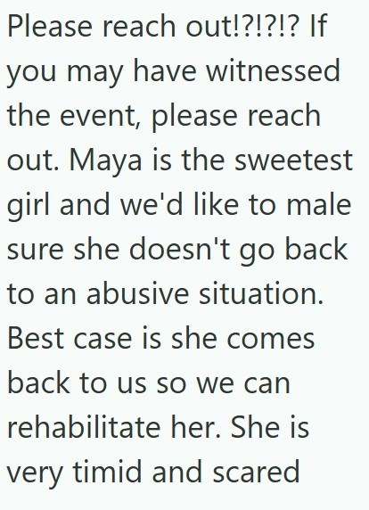Please reach out!?!?!? If you may have witnessed the event, please reach out. Maya is the sweetest girl and we'd like to male sure she doesn't go back to an abusive situation. Best case is she comes back to us so we can rehabilitate her. She is very timid and scared