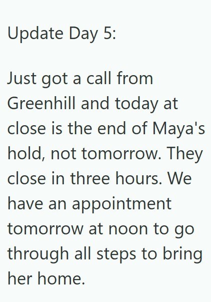 Update Day 5: Just got a call from Greenhill and today at close is the end of Maya's hold, not tomorrow. They close in three hours. We have an appointment tomorrow at noon to go through all steps to bring her home.
