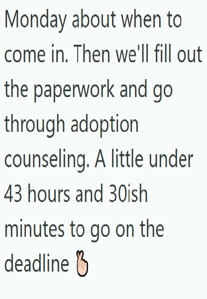 Monday about when to come in. Then we'll fill out the paperwork and go through adoption counseling. A little under 43 hours and 30ish minutes to go on the deadline