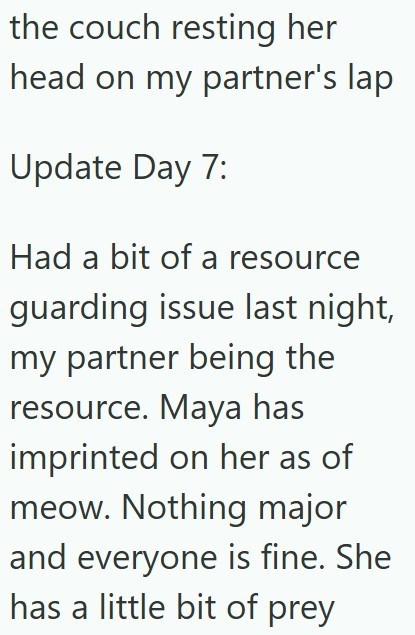 the couch resting her head on my partner's lap Update Day 7: Had a bit of a resource guarding issue last night, my partner being the resource. Maya has imprinted on her as of meow. Nothing major and everyone is fine. She has a little bit of prey
