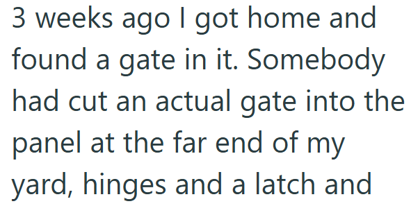 3 weeks ago I got home and found a gate in it. Somebody had cut an actual gate into the panel at the far end of my yard, hinges and a latch and