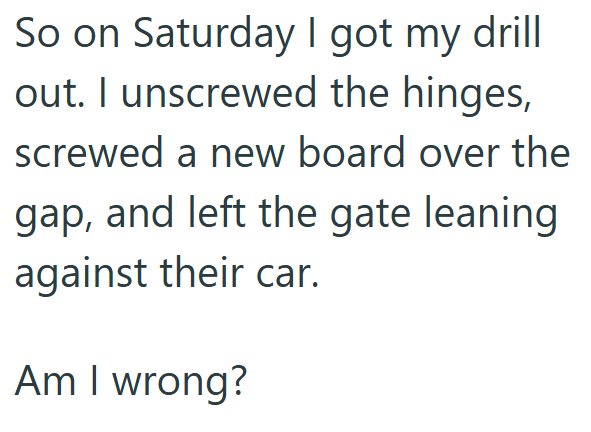 So on Saturday I got my drill out. I unscrewed the hinges, screwed a new board over the gap, and left the gate leaning. against their car. Am I wrong?