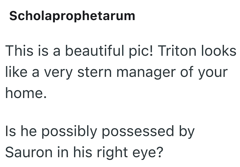 Scholaprophetarum This is a beautiful pic! Triton looks like a very stern manager of your home. Is he possibly possessed by Sauron in his right eye?