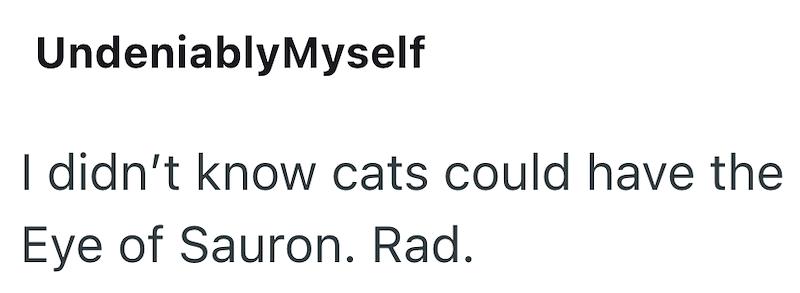 UndeniablyMyself I didn't know cats could have the Eye of Sauron. Rad.