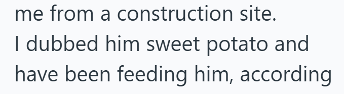 me from a construction site. I dubbed him sweet potato and have been feeding him, according