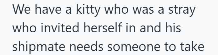We have a kitty who was a stray who invited herself in and his shipmate needs someone to take