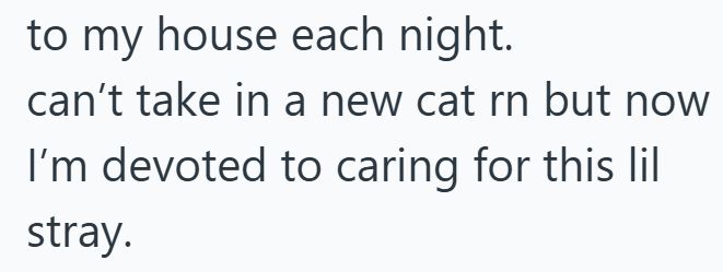 to my house each night. can't take in a new cat rn but now I'm devoted to caring for this lil stray.