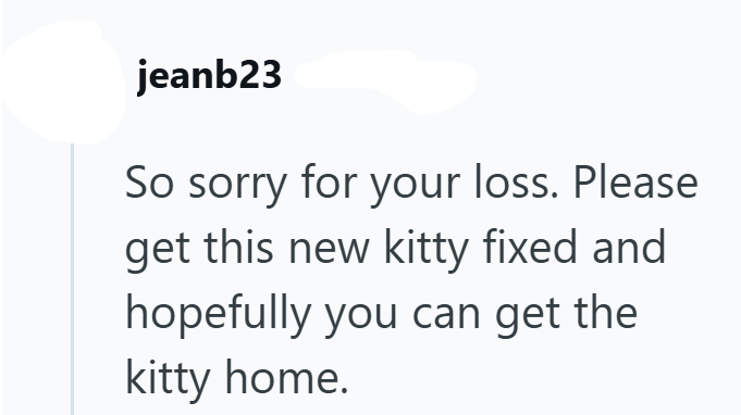 jeanb23 So sorry for your loss. Please get this new kitty fixed and hopefully you can get the kitty home.
