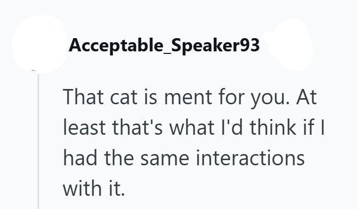 Acceptable Speaker93 That cat is ment for you. At least that's what I'd think if I had the same interactions with it.