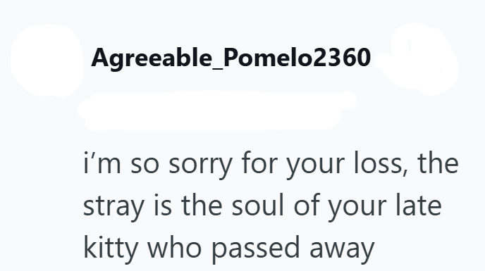 Agreeable_Pomelo2360 i'm so sorry for your loss, the stray is the soul of your late kitty who passed away