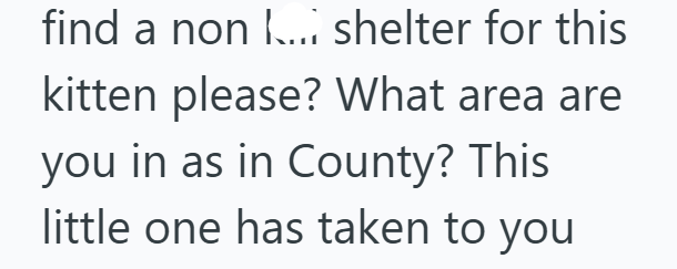 find a non ... shelter for this kitten please? What area are you in as in County? This little one has taken to you