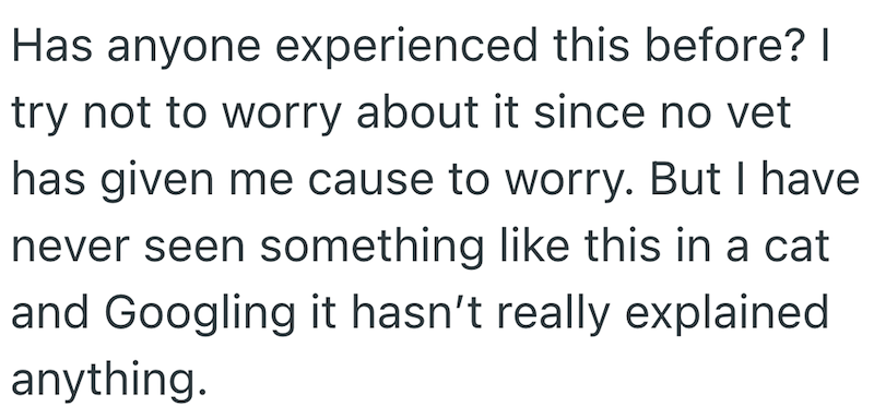 Has anyone experienced this before? try not to worry about it since no vet has given me cause to worry. But I have never seen something like this in a cat and Googling it hasn't really explained anything.
