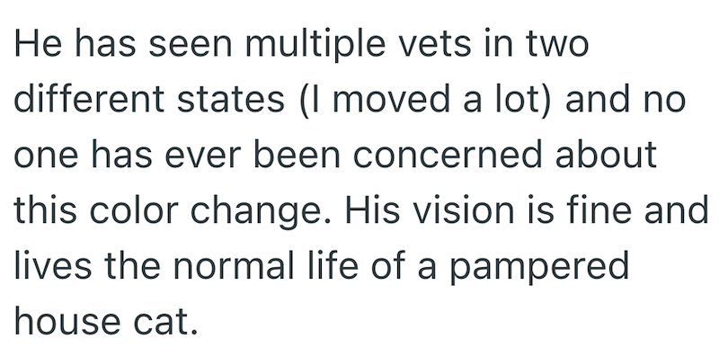 He has seen multiple vets in two different states (I moved a lot) and no one has ever been concerned about this color change. His vision is fine and lives the normal life of a pampered house cat.