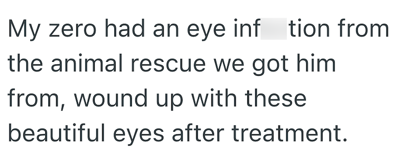 My zero had an eye inf tion from the animal rescue we got him from, wound up with these beautiful eyes after treatment.