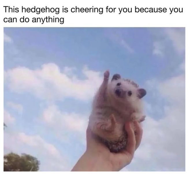 This hedgehog is cheering for you because you can do anything