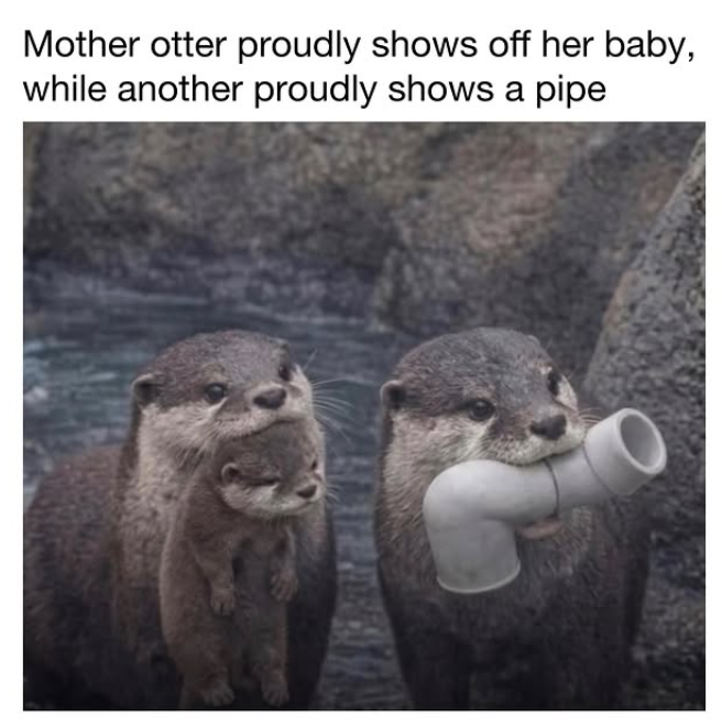 Mother otter proudly shows off her baby, while another proudly shows a pipe